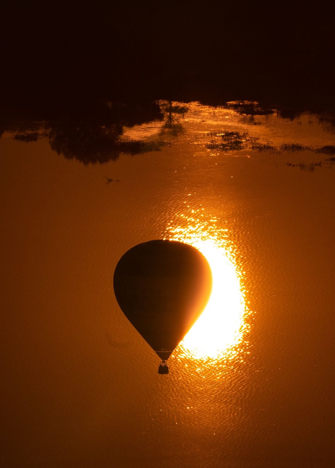 Vuelo de tarde